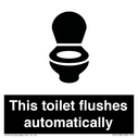this-toilet-flushes-automatically~